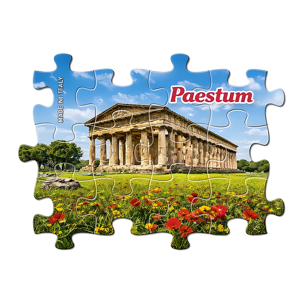 Calamita puzzle - immagine 6