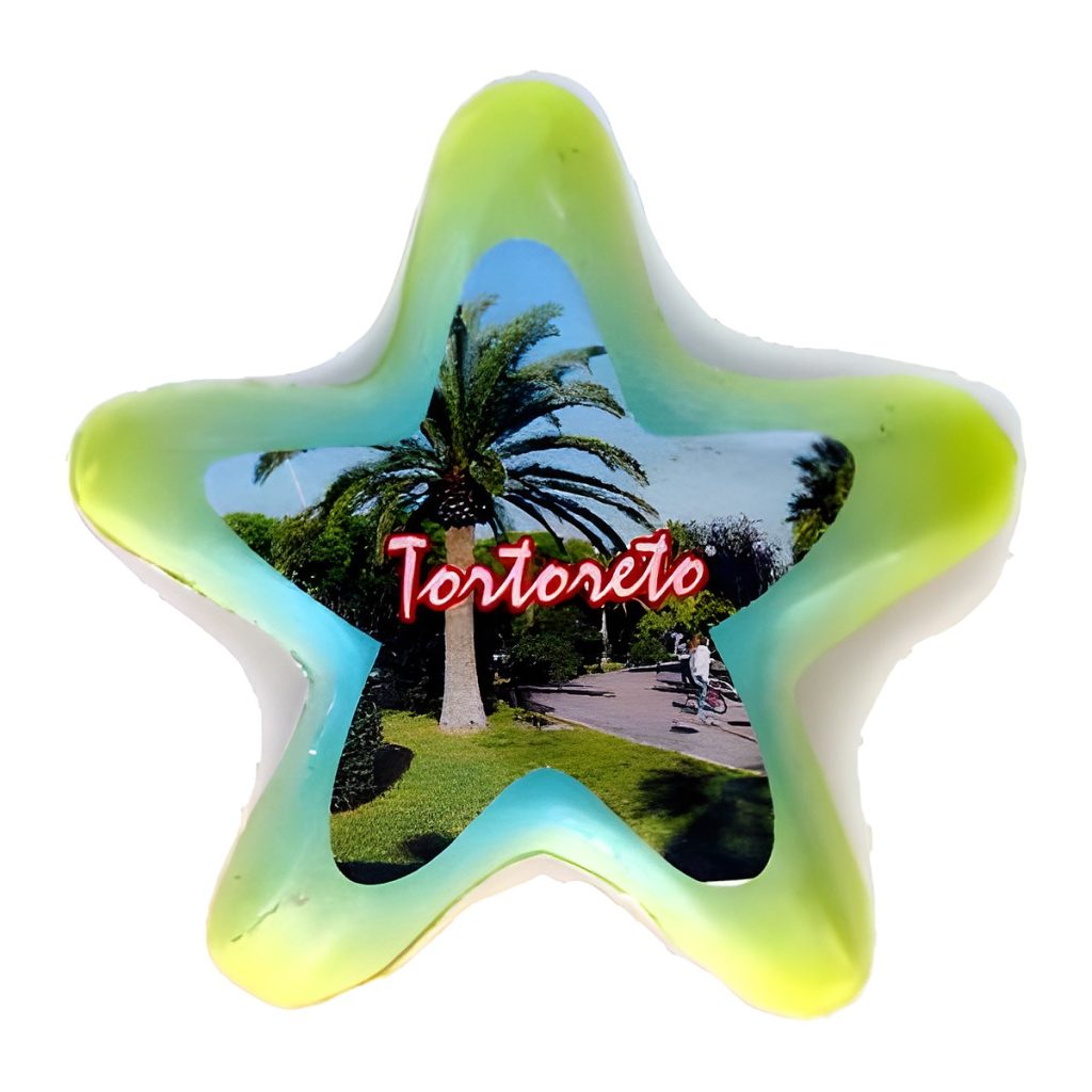 Calamita in resina stella