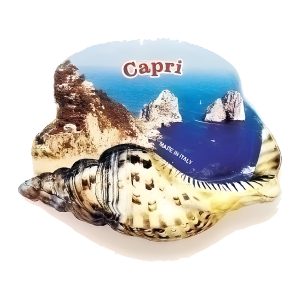Calamita in resina conchiglia
