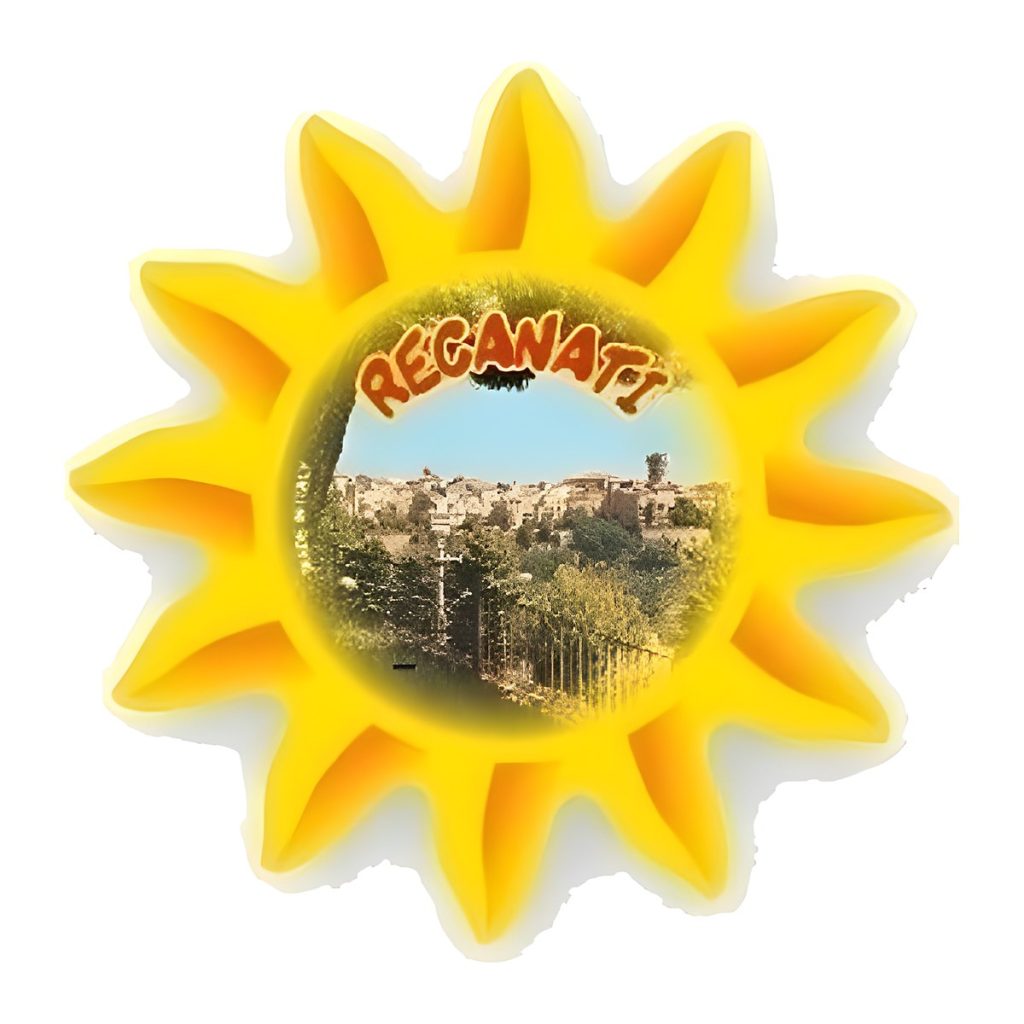Calamita in resina sole nuovo
