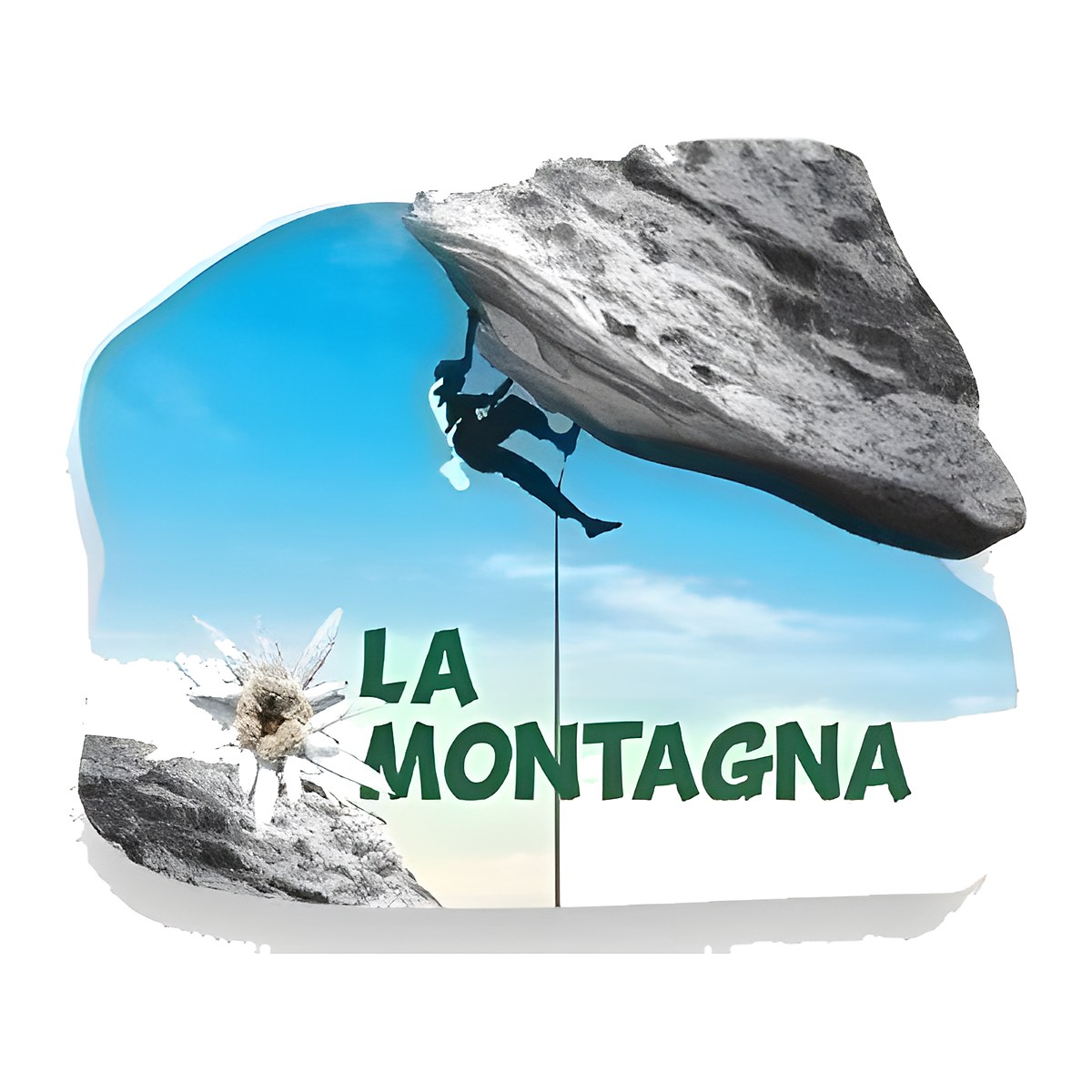 Calamita in resina scalatore panorama