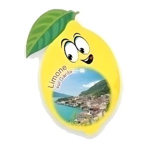 Calamita in resina limone simpatico