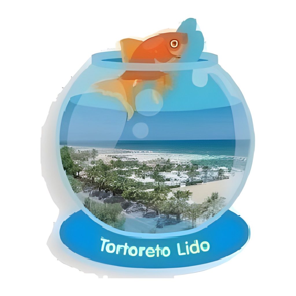 Calamita in resina acquario con pesce