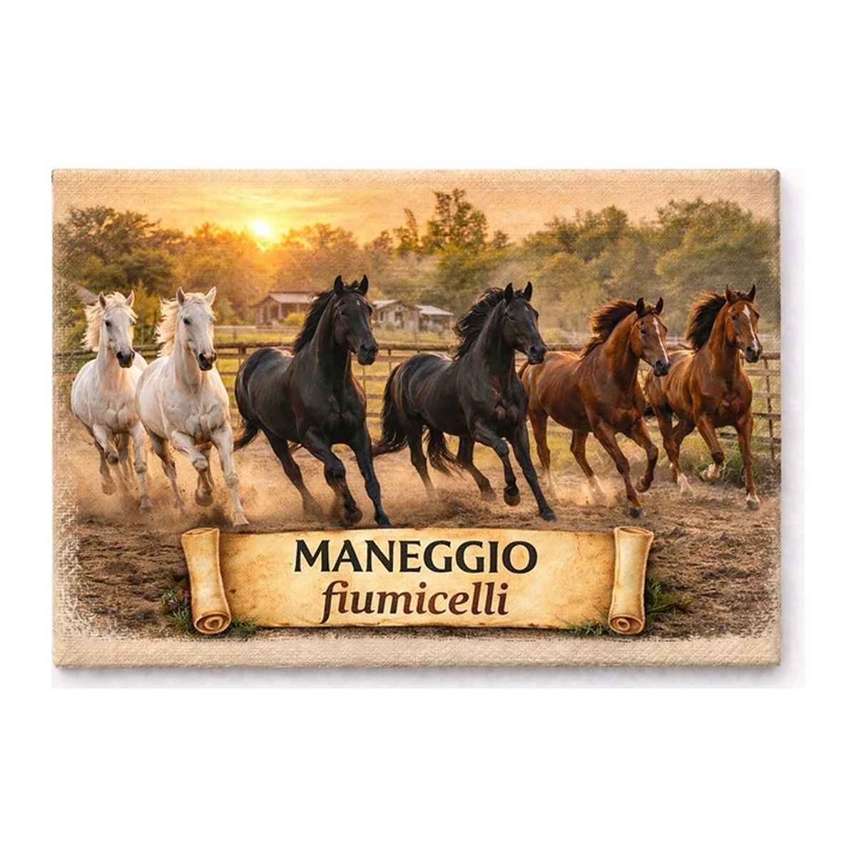 Calamita in tela - immagine 4